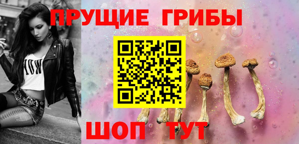 Галлюциногенные грибы Psilocybine cubensis  Вход с VPN  Артём 